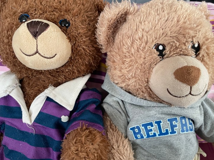 Two teddies - members of the Council of the Bears.
